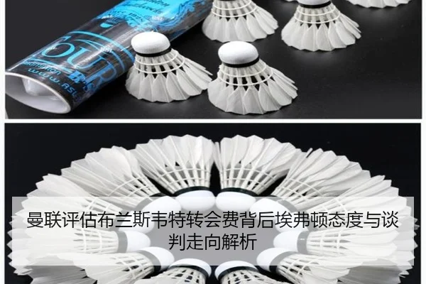曼联评估布兰斯韦特转会费背后埃弗顿态度与谈判走向解析