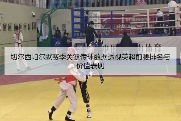 切尔西帕尔默赛季关键传球数据透视英超前腰排名与价值表现